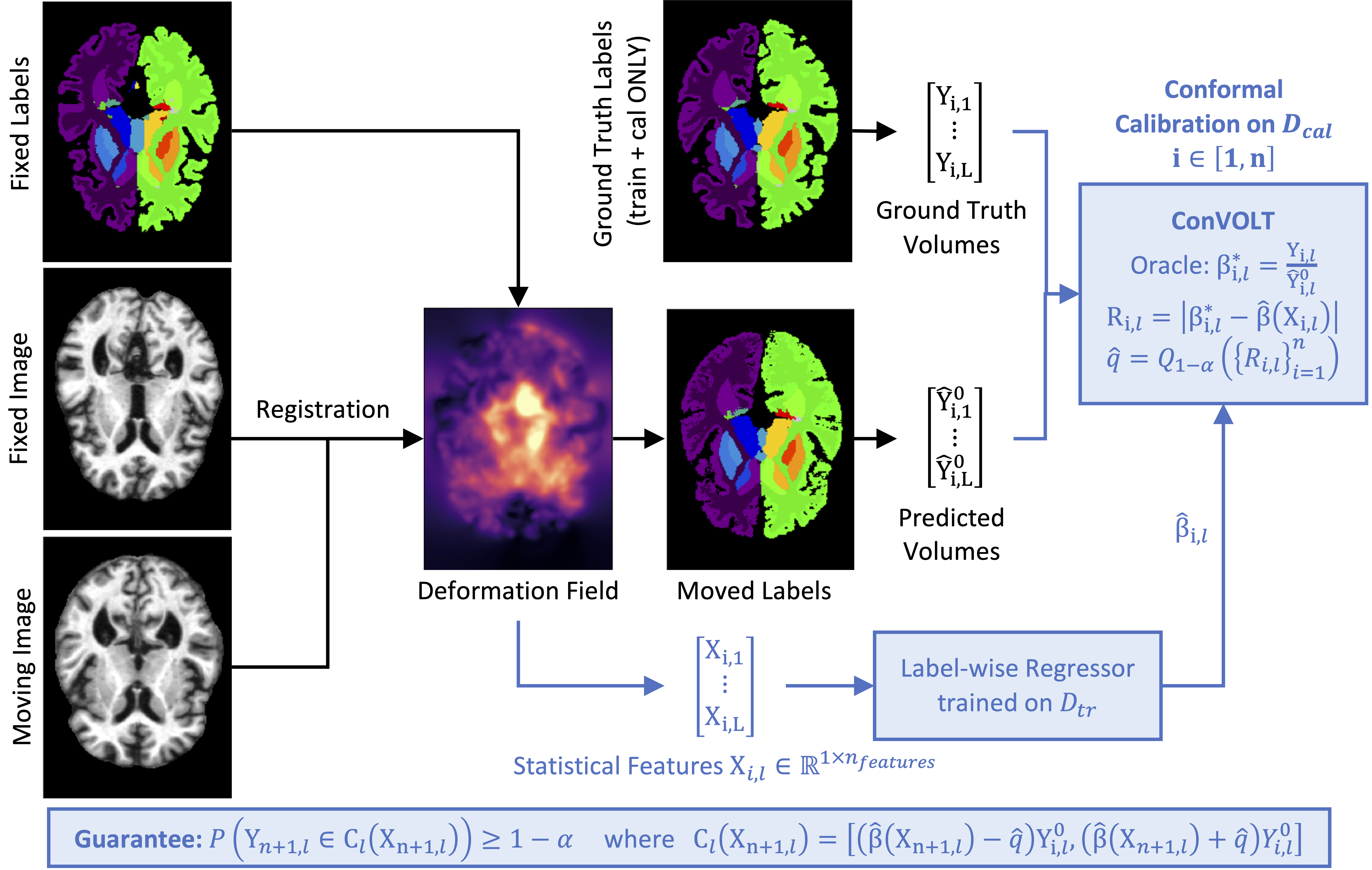 Efficient Conformal Volumetry for Template-Based Segmentation